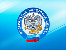 Новый налоговый режим для самозанятых стал востребованным