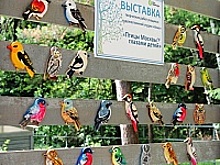 В «Доме лани» открылась выставка «Птицы Москвы глазами детей»