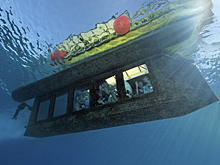 В Египте вынесли приговор капитану затонувшего в марте батискафа с россиянами