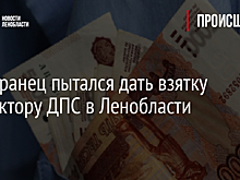 Иностранец пытался дать взятку инспектору ДПС в Ленобласти