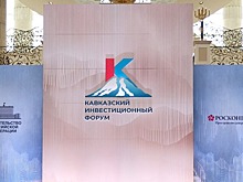 Реализацией инвестпроектов в курортной ОЭЗ на Ставрополье заинтересовались 13 компаний