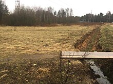 Под Тверью бесплатно раздают в пользование картофельные наделы