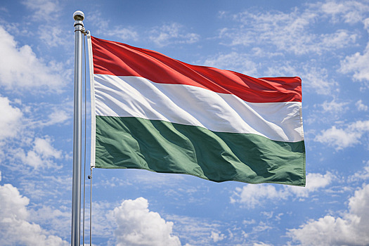 В стране ЕС прошёл митинг против втягивания Венгрии в войну с Россией