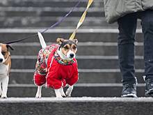 Москвичам назвали время прихода зимы во всей красе