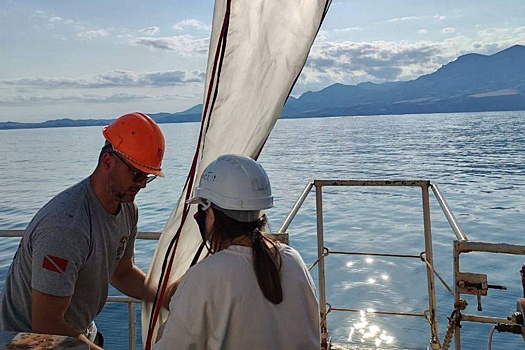 Как разлив мазута повлиял на медуз и мидий в Черном море