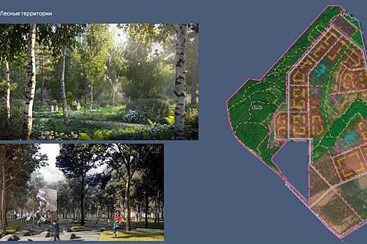 Больше зеленых зон: в Новосибирской области представлена обновленная концепция «СмартСити Новосибирск»
