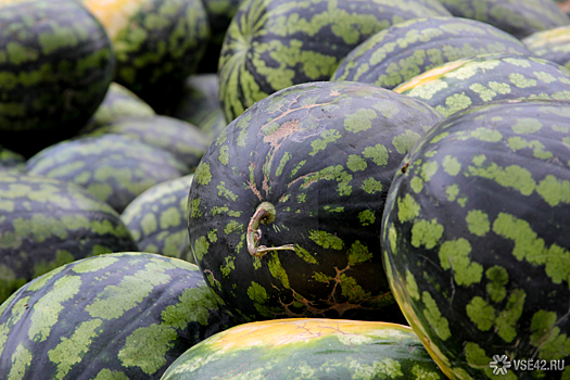 Эксперты заявили о подорожании арбузов в РФ