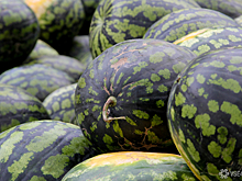 Эксперты заявили о подорожании арбузов в РФ