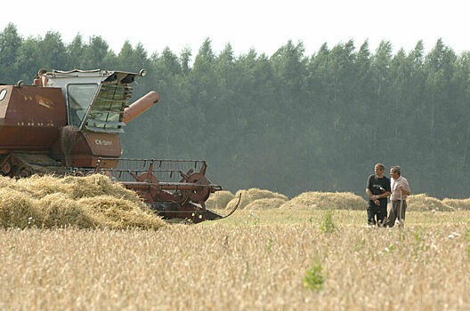 Россия передала ЦАР 50 тысяч тонн пшеницы в качестве гуманитарной помощи