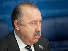 Газзаев: закон о сохранении языков народов России планируют принять до конца сессии
