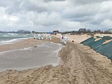 Чем грозит новое ЧП природе и туристам Анапы