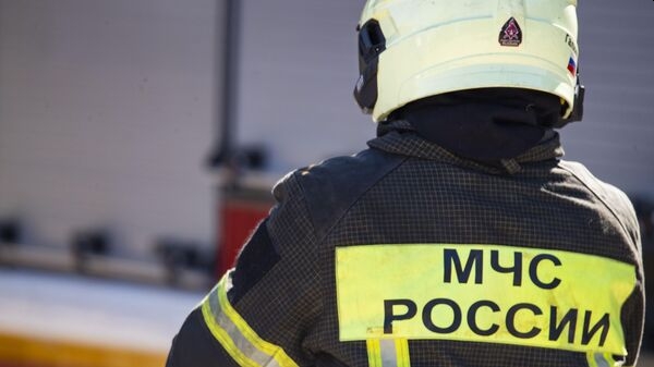 Самодельный самолет рухнул во Владимирской области