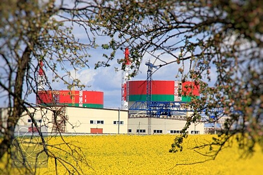 Литва попросила МАГАТЭ следить за безопасностью Белорусской АЭС