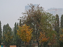 Синоптики рассказали о погодных аномалиях в октябре в Волгограде