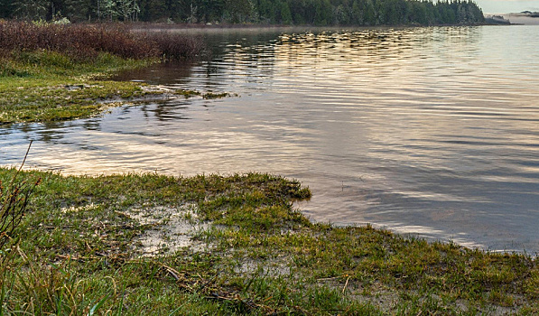 Жители Благовещенска предложили превратить озёра в районе Тайваня в места отдыха