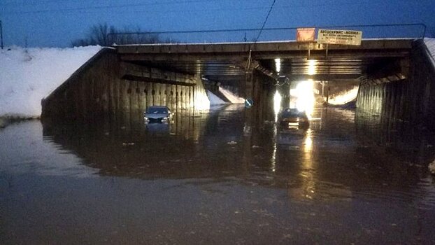 «Нормально плаваем». В Воронеже из-за дождя затопило 5 улиц