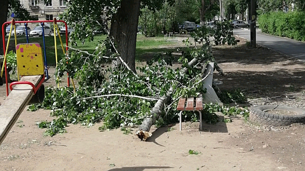 В Балакове на детскую площадку упала массивная ветка дерева