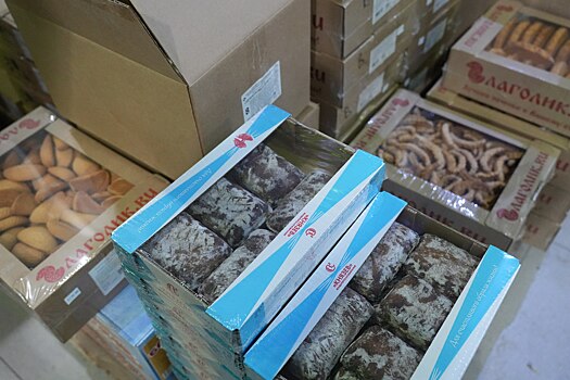 Из Кузбасса в ДНР отправили фуру с тысячами новогодних подарков для детей