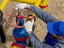 В Приднестровье заявили о начале поставок газа при помощи России