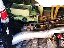 Кошка на борту боинга сорвала запланированный рейс