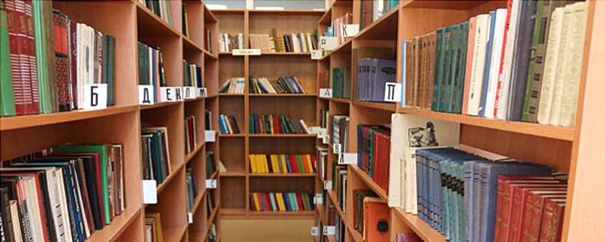 Библиотеки Павловского Посада за год выдали более 200 тысяч книг