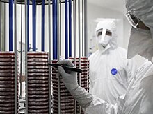 В Псковской области британская компания построит фармпроизводство