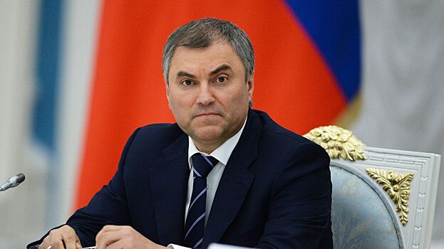 Володин призвал предпринимателей развивать Россию