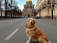В какие города РФ чаще всего ездили туристы с питомцами в апреле