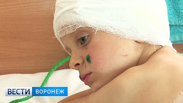 Владелец ротвейлера, напавшего на ребёнка: «Что теперь собаку усыплять? Или меня?»
