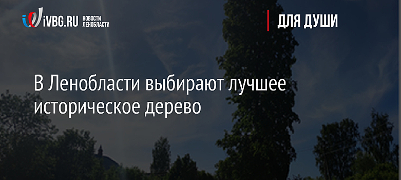 В Ленобласти выбирают лучшее историческое дерево