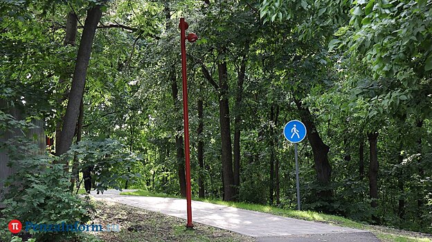 «Все время на ногах»: пензенцам не хватает скамеек на Тропе здоровья