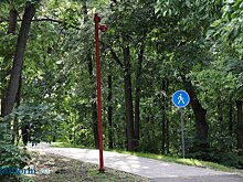 «Все время на ногах»: пензенцам не хватает скамеек на Тропе здоровья