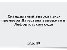 Источник: сын бывшего вице-премьера Дагестана доставлен в Москву