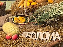 Музыкально-поэтический фестиваль "Sолома" стартовал в столице