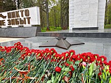Солдатская каша, кино в парках, парад: как пройдет День Победы в Костроме