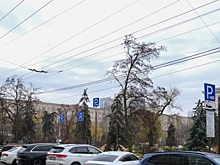 Парковки в Волгограде станут бесплатными на 12 дней