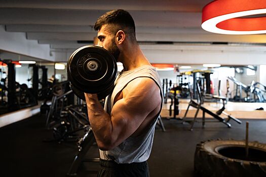 Почему не растут мышцы рук в тренажёрном зале — 7 факторов