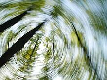 Стало известно, кто еще пропал в лесах Сибири, где ищут Усольцевых