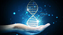 Модификацию ДНК "выпустили, как джинна из бутылки"
