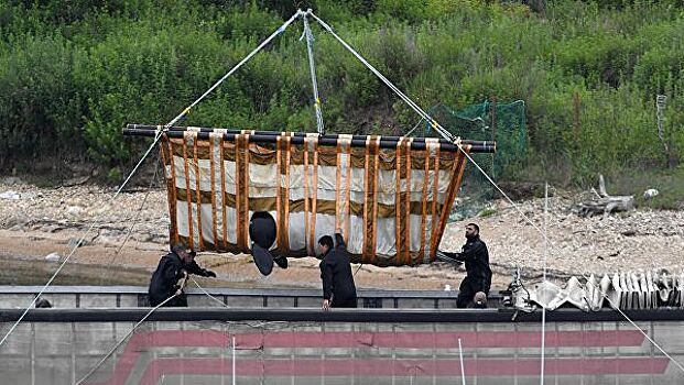 Косатки из "китовой тюрьмы" отдыхают перед погрузкой на судно в Хабаровске