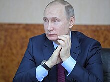 Путин назвал импортозамещение временным явлением