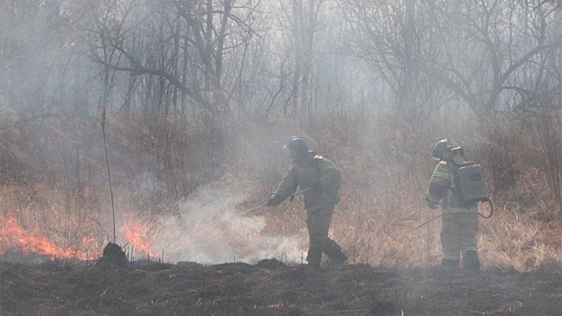 Площадь природных пожаров в ЕАО превысила 19 тысяч гектаров