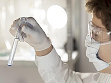 Евросоюз одобрил кормовую добавку на основе бактериофагов для птицеводства