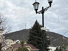 В штаб-квартире Горного общества открыли музей истории туризма