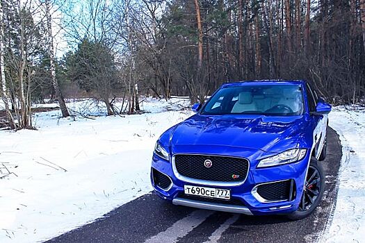 Повадки хищника: тест Jaguar F-Pace