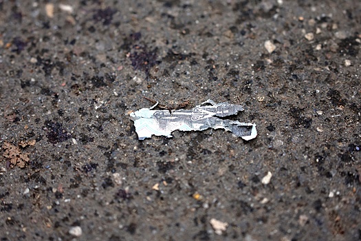 Очевидец взрыва в Красногорске: Началась охота на детей с помощью купюр-бомб