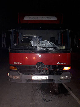 Грузовик насмерть сбил пешехода на объездной дороге в Чуйской области