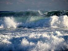 Турист-серфер бросился в воду ради спасения тонущего друга и не выжил