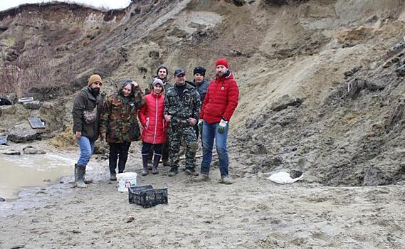 Под Курском нашли зубы доисторических акул и позвонок ихтиозавра
