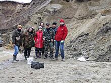 Под Курском нашли зубы доисторических акул и позвонок ихтиозавра